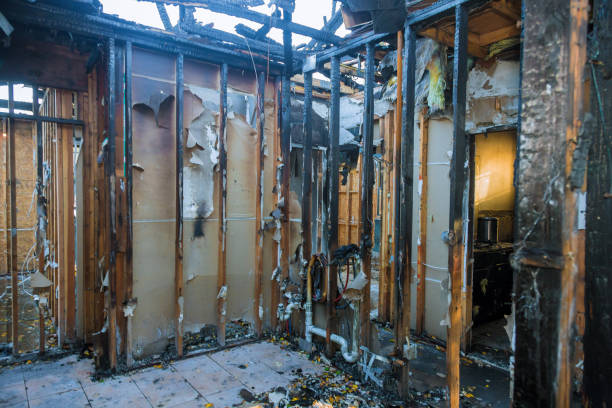 Professional Fire Damage Repair technician working in Arp, TX